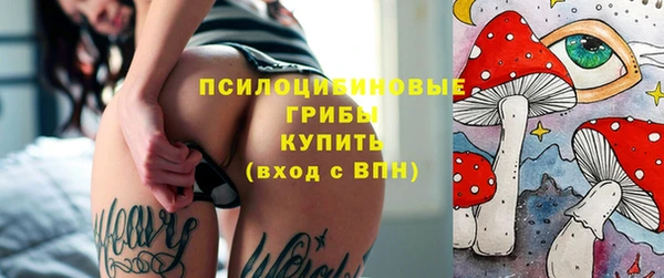 PSILOCYBIN Алексин